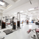 A modern, fully equipped gym