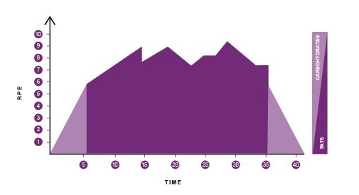 Tour de France Cycling Profile 