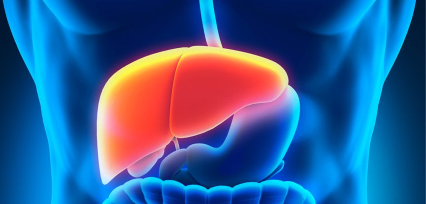 Protect your liver but reducing alcohol consumption