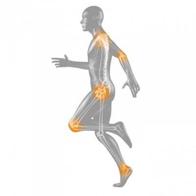 An anatomical diagram of a runner