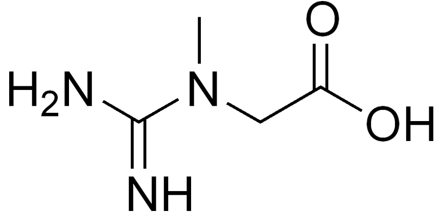 The chemical structure of creatine