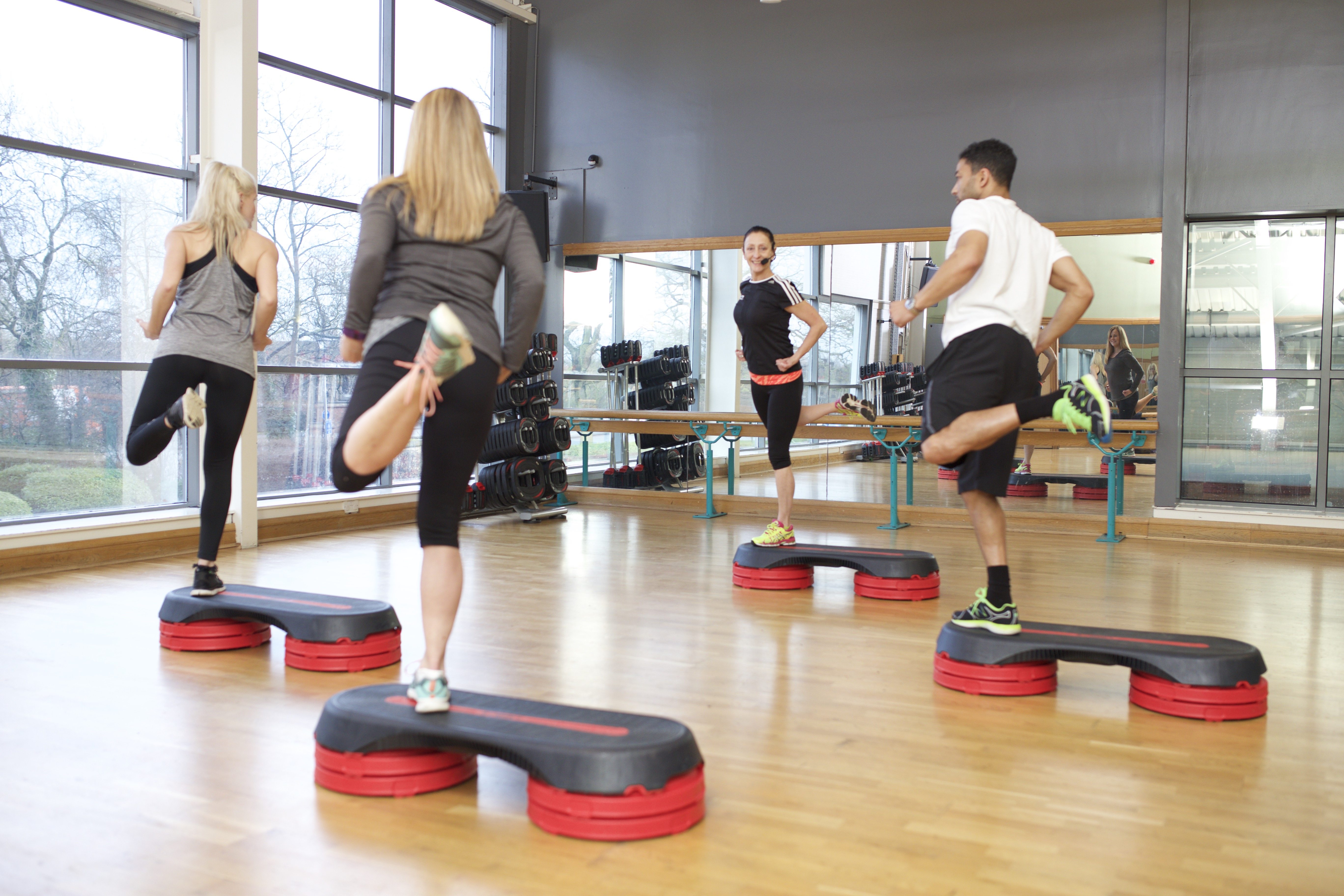 Level 2 Step Instructor Course HFE