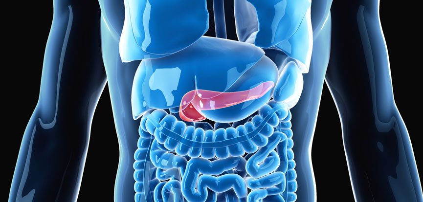 Type 2 diabetes occurs when the pancreas is unable to meet the body's insulin needs