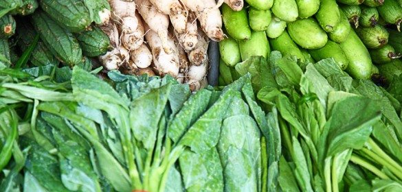 Training on a Vegetarian or Vegan Diet