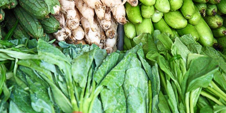 The magic of magnesium: Why future nutritionists need to understand it 