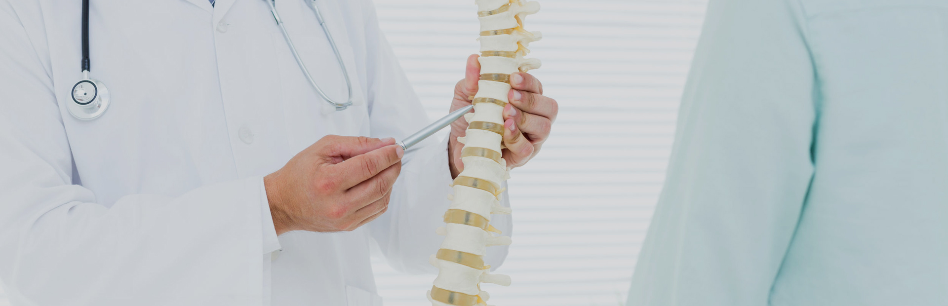 Dr Stuart Porter explores the anatomy of the spine
