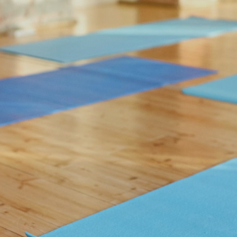 An empty yoga studio with blue mats arranged on the floor
