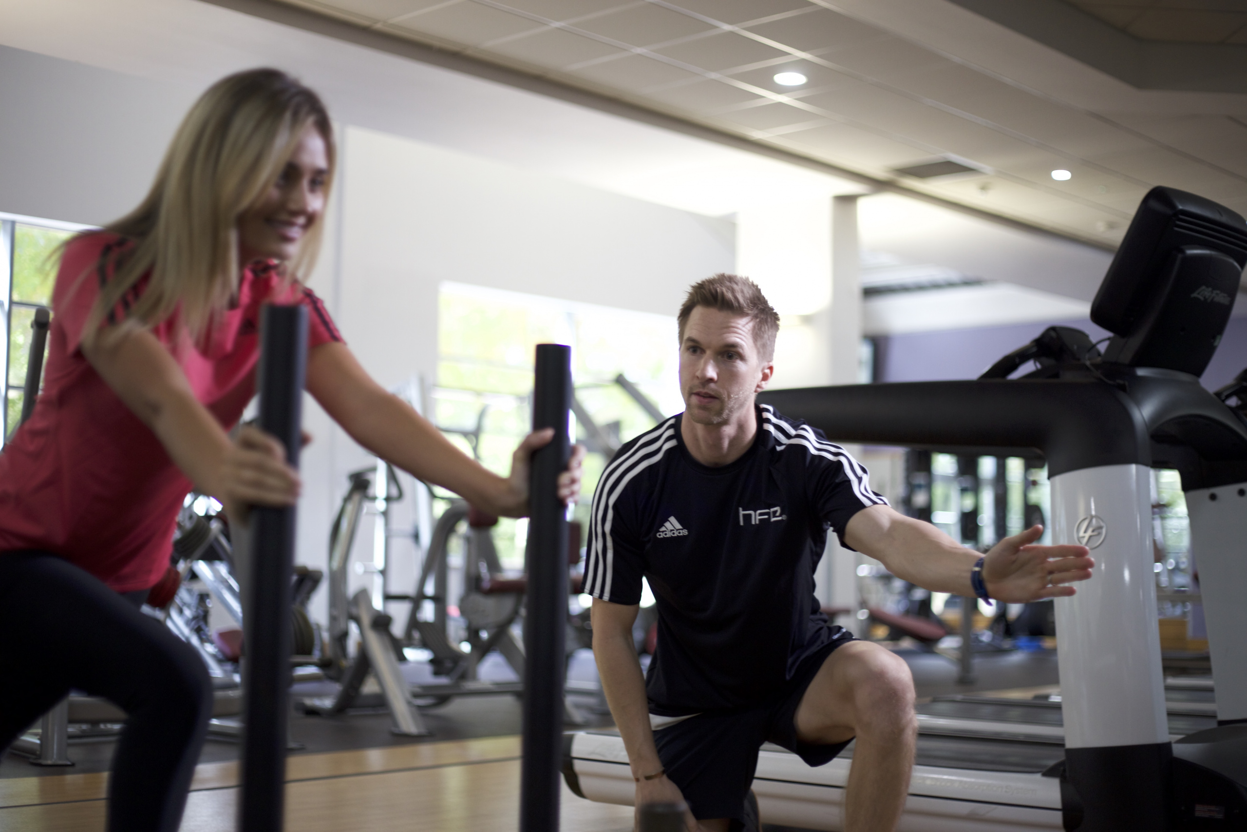 Level 3 Personal Trainer Course Online HFE Level 3 Personal Trainer Course Online HFE