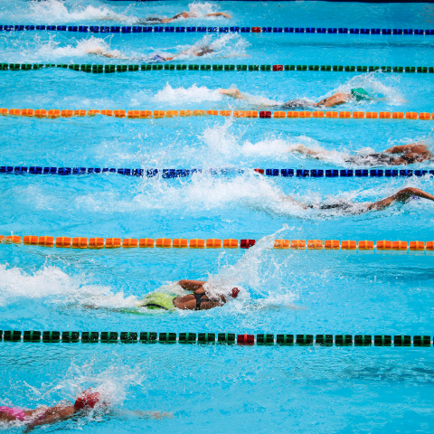 multiple swimmers racing in lanes of a swimming pool
