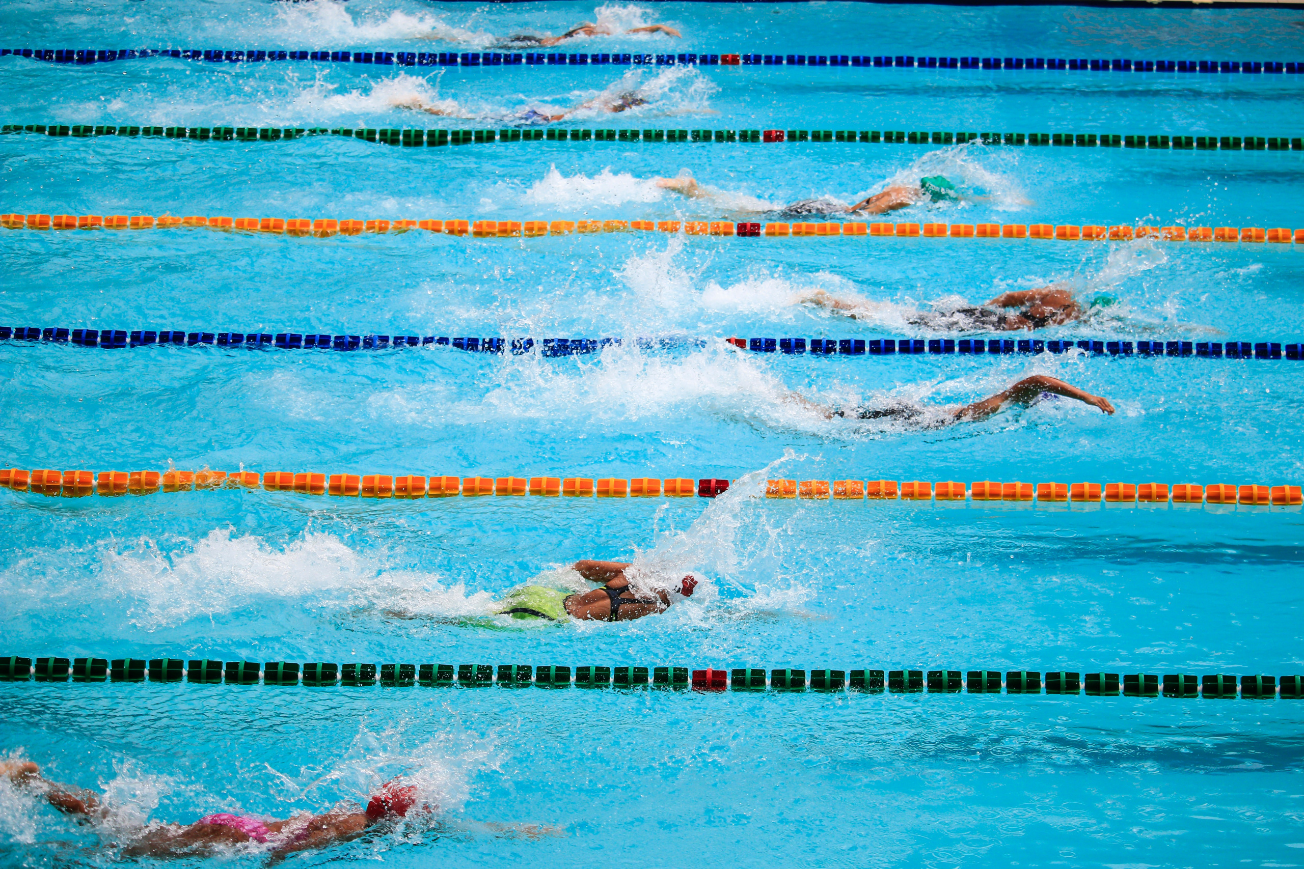 multiple swimmers racing in lanes of a swimming pool