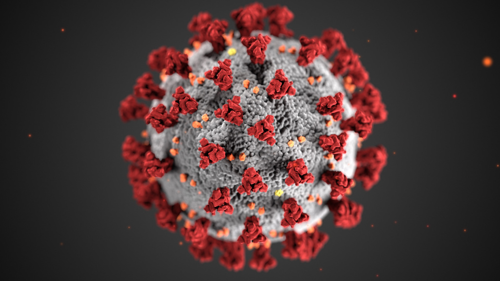 COVID-19 molecule