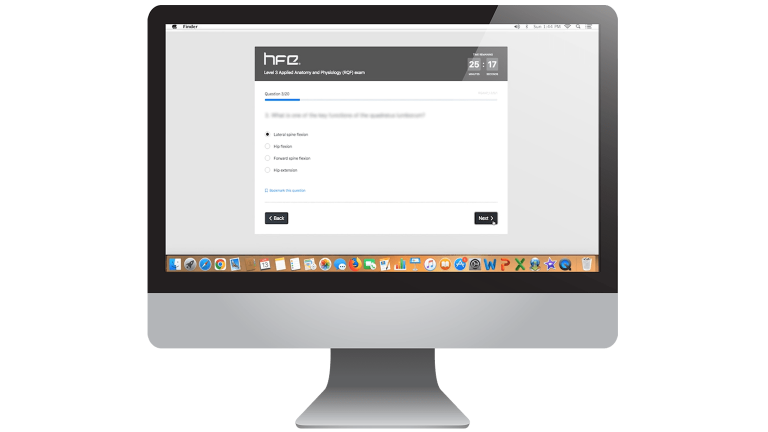 HFE theory test on iMac screen