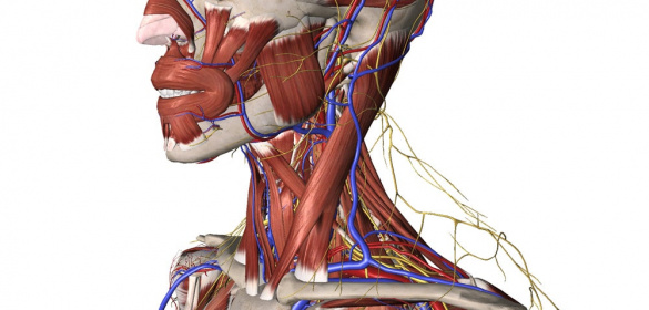Understanding Thoracic Outlet Syndrome