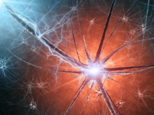 close up of neuron activation