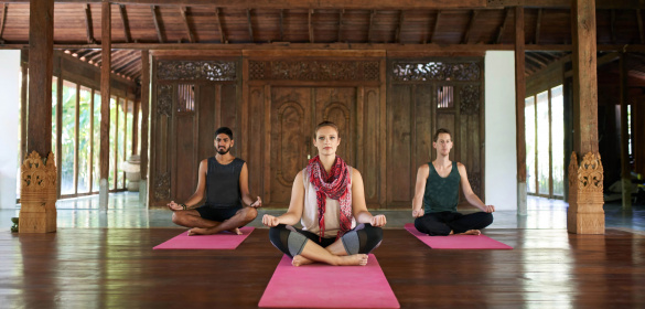 Exploring Hatha Yoga