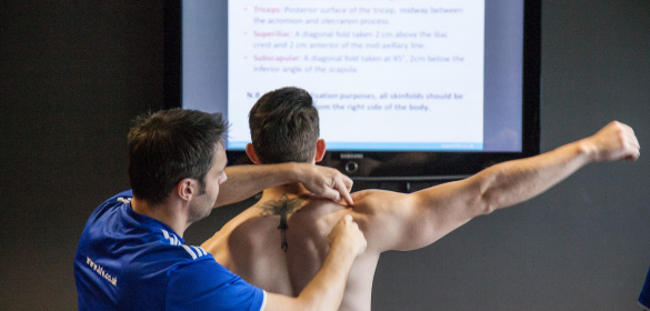 What is the best food for muscle growth? We explore the science