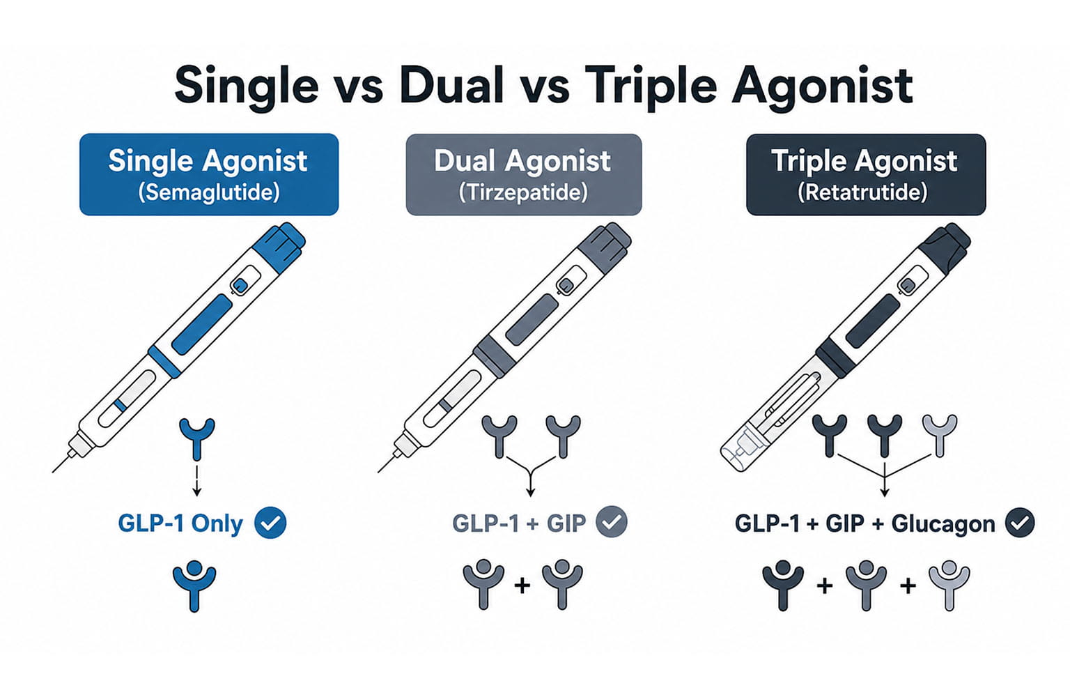 Infographic showing single vs double vs triple agonist